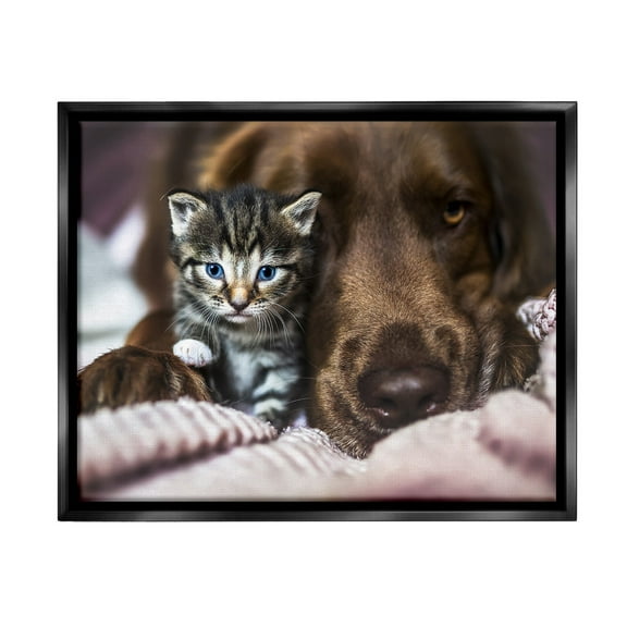 Stupell Industries Kitten & Dog Snuggling Animals & Insects Painting Black Floater Framed Canvas Art Print Wall Art, 21 x 17