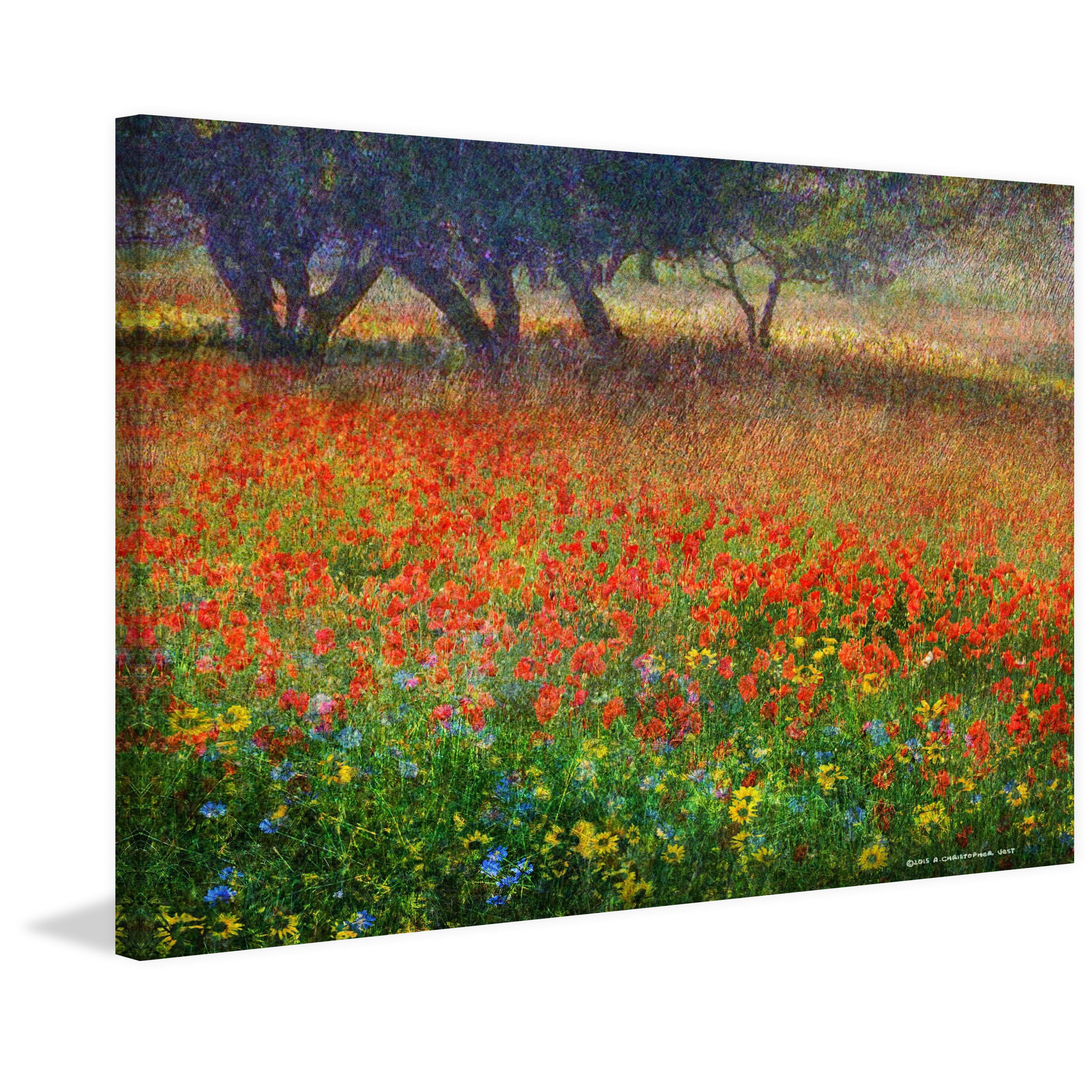 "Edge of the Orchard" Painting Print on Wrapped Canvas