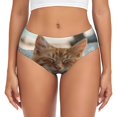 thumbnail image 1 of Fotbe Relaxing Cat With Orange Juice Calzones Estampados para Mujer – Ropa Interior de Algodón, Cómoda, Suave y Elástica-X-Large, 1 of 6