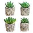 thumbnail image 1 of Uds. De suculentas de simulación, bonsái, pequeños adornos creativos, flores en maceta de cemento, plantas verdes artificiales, 1 of 5