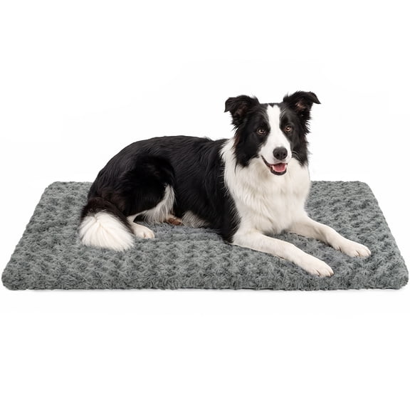 CshidWorld Dog Crate Pad, Washable Dog Bed Mat for Large and Medium Dogs, Plush Velvet Kennel Pad, Ultra Soft Pet Sleeping Mat with Non-Slip Bottom, 36 x 23 Inch