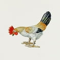 thumbnail image 2 of Hunter, Lillian 15x15 Gold Ornate Wood Framed with Double Matting Museum Art Print Titled - Toy Rooster, 2 of 4
