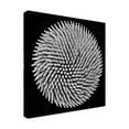 thumbnail image 4 of Giorgio Toniolo 'Hypnosis' Canvas Art, 4 of 4