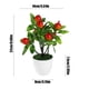 thumbnail image 3 of Ganfancp Simulación de 7 Pachycarpus Fortunei Fruta Grande Bonsai Salón Mesa de Café Decoración Fotografía Atrezzo Decoración Gabinete de Vino Ofertas Flash Liquidación 1 X Planta Simulada En Maceta, 3 of 6