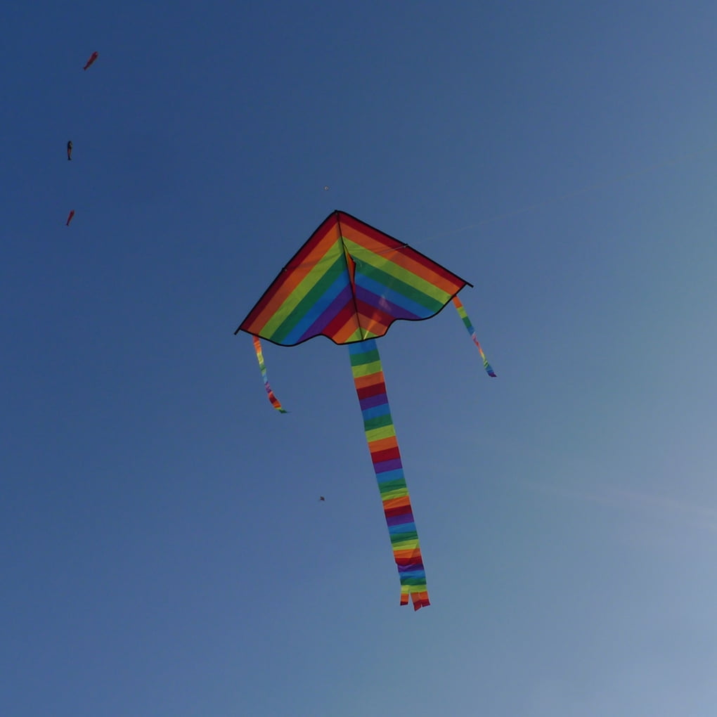 Rainbow Triangle Kite Outdoor Children Fun Sports Toys with 100m Kite Line SR 