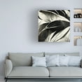 thumbnail image 2 of Canvas Wall Art - Ray Heere 'Flowers Black White 2' Wall Art for Living Room, Bedroom, or Office Décor by Trademark Fine Art - 35 x 35 Inches, 2 of 4