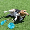 thumbnail image 3 of Durable Suction Cup Slippers Chew Toy for Medium Dogs Leaky Food Dispenser Boredom and Energy Consumption, 3 of 6