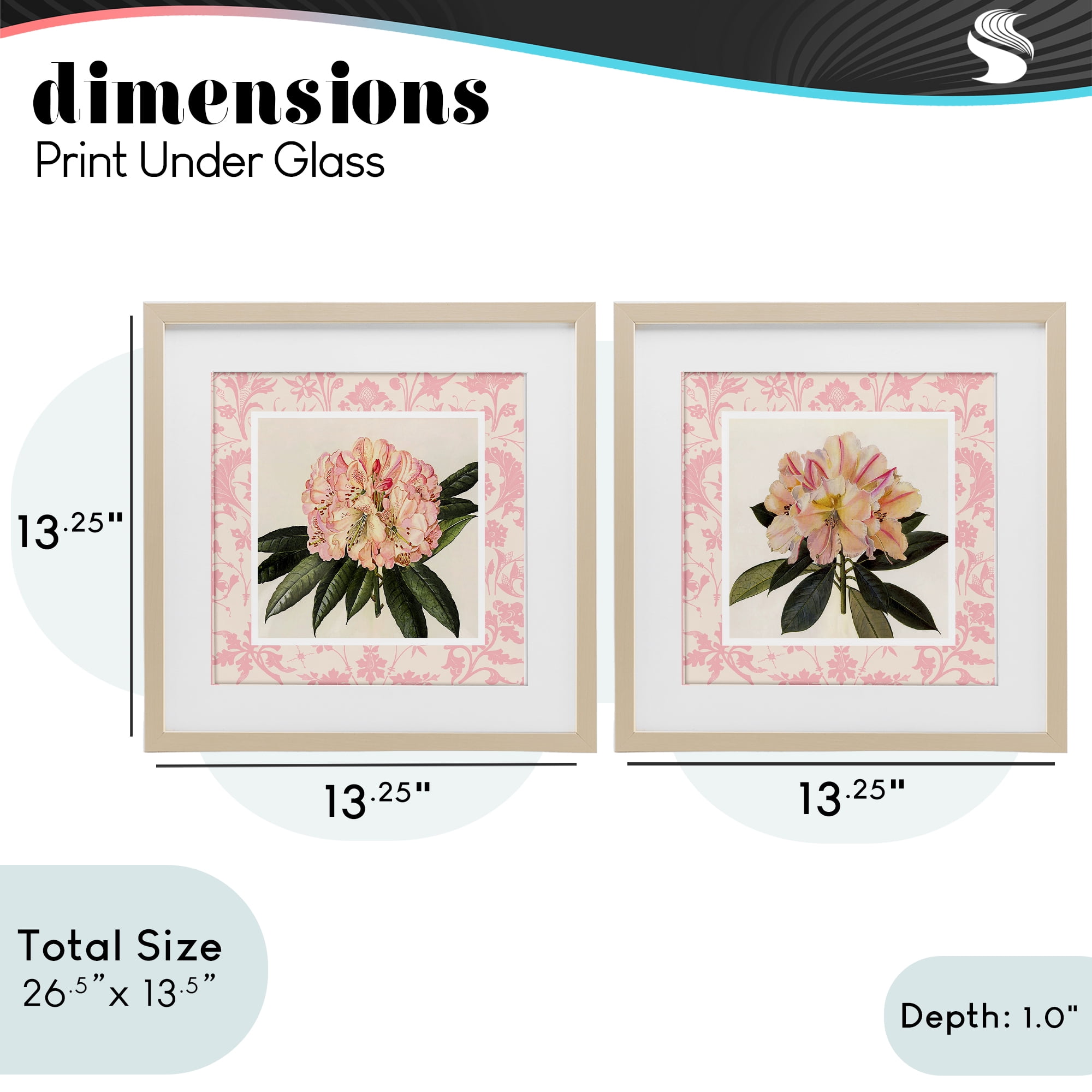 Stupell Industries Pink Vintage Pattern Botanicals 2 Piece Birch Framed Print Under Glass Set, design by Livi Finn
