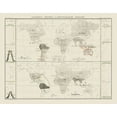 thumbnail image 2 of Unknown 24x20 White Modern Wood Framed Museum Art Print Titled - World Herpetological - 1845, 2 of 4
