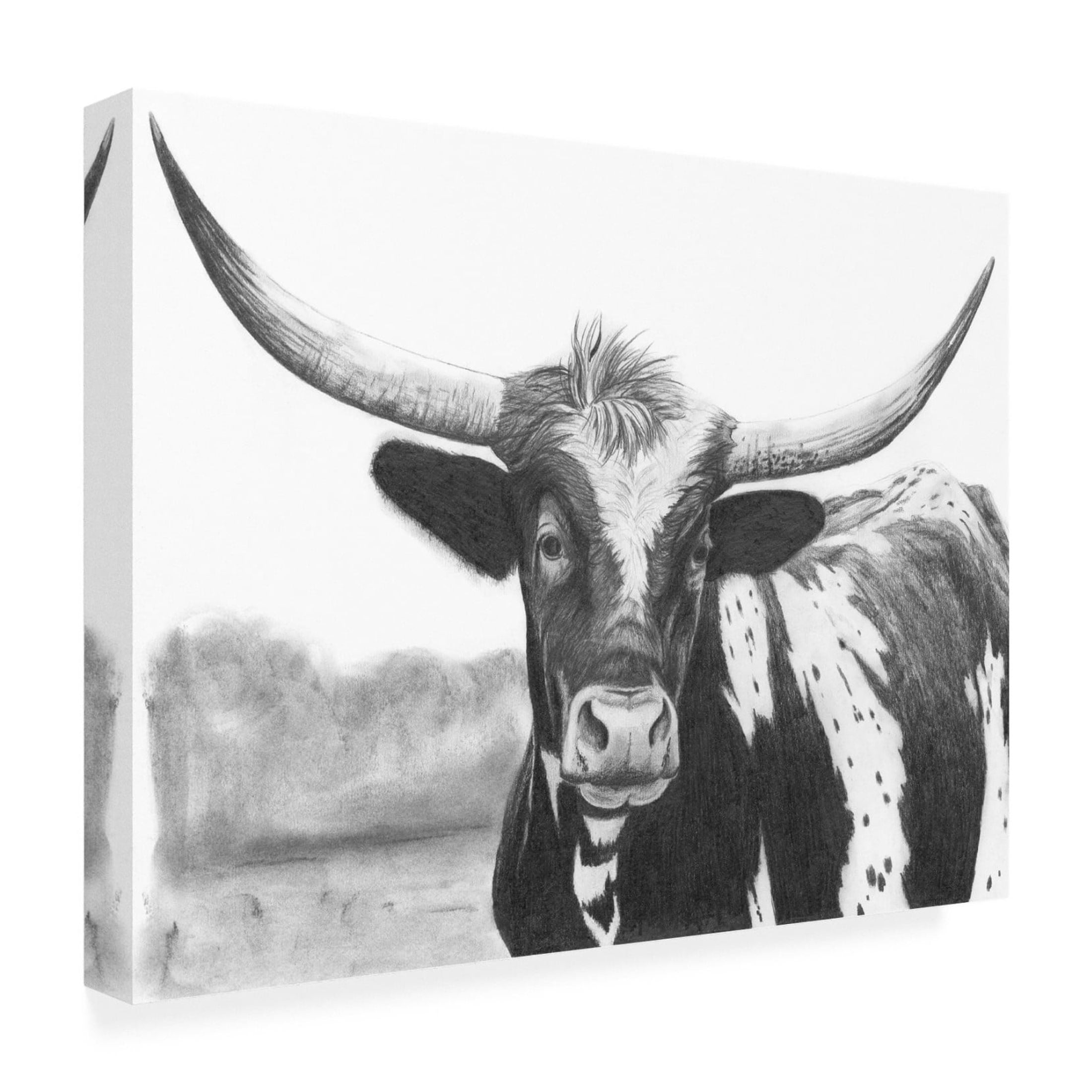 Trademark Fine Art Michael Willett  Holstein Perspective II Canvas Wall Art