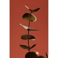 thumbnail image 3 of 1x Studio III 11x14 Black Modern Framed Museum Art Print Titled - Eucalyptus Gold Rust 04, 3 of 5
