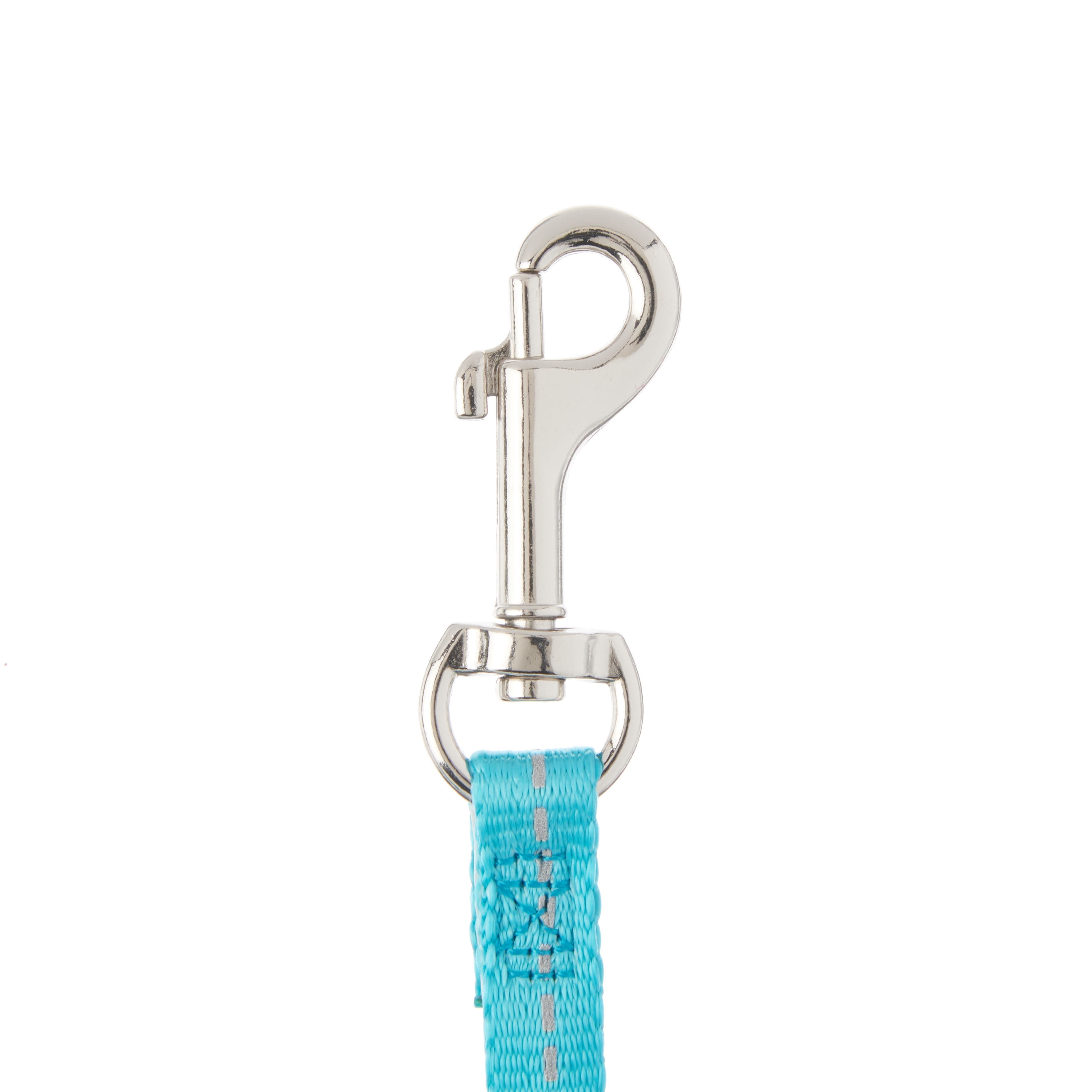 Vibrant Life Solid Nylon Dog Leash, Teal, Small, 5-ft, 3/8-in