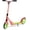 Watermelon, variant on Hurtle Scooter – Scooter for Teenager – Kick Scooter – 2 Wheel Scooter with Adjustable T-Bar Handlebar – Folding Adult Kick Scooter with Alloy Anti-Slip Deck with 1 Pounds limit weight