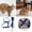 A795 Blue One Size, variant on Cat Leash And Harness Set For Walking Durable Pet Chest Strap And Leash Combo Ideal For Outdoor Adventures Description Chest Strap Birthday Gift For Pet Dog Cat One Size