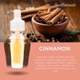 thumbnail image 4 of Huile Scent Charm ScentSationals - Cinnamon, 4 of 6