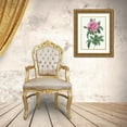 thumbnail image 3 of Redoute, Pierre Joseph 25x32 Gold Ornate Wood Framed with Double Matting Museum Art Print Titled - Gallic Rose, Rosa gallica regalis, 3 of 4