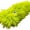 green, variant on Catnip Soft Durable Cat Pillows, Rich Color Catnip Indoor Interactive Cat Kicker, Companion Toys for Cats