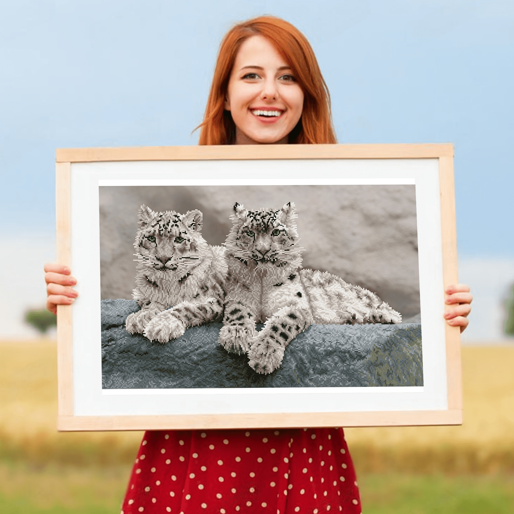 Diamond Dotz Snow Leopards Hemis National Park Kashmir India  Diamond Painting Kits for Adults - Diamond Art Kits a Relaxing Creative Craft Kit with Dotz Gems 19.7"x29.5"