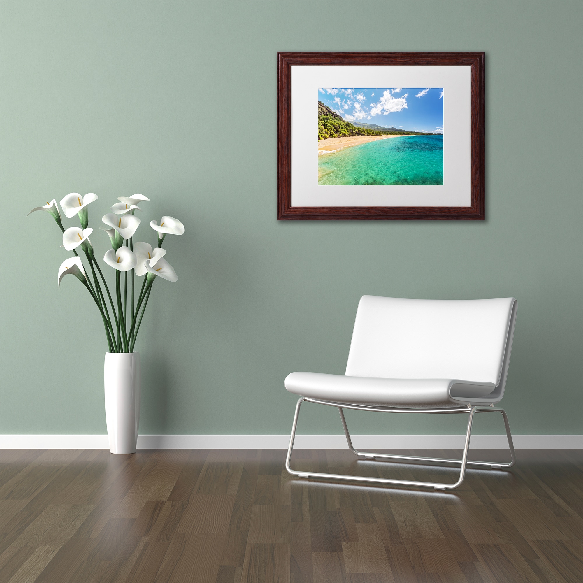 Trademark Fine Art 'Makena Beach Maui' Canvas Art by Pierre Leclerc, White Matte, Wood Frame