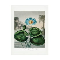 Trademark Fine Art Pictufy The Blue Egyptian Water Lily from The Temple of Flora 1807 Canvas Wall Art