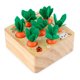 thumbnail image 2 of para 1 año de edad, juguetes de madera, clasificación de formas y rompecabezas a juego, juego de cosecha de zanahorias, regalos de cumpleaños para bebés, niños y niñas de 6 a 12 meses XianweiShao  8390615120869, 2 of 4