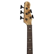Michael Kelly Pinnacle 5 5-String Bass Guitar