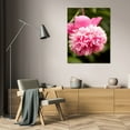 thumbnail image 3 of Karyn Millet 31x44 Gallery Wrapped Canvas Wall Art Titled - Pink Peony I, 3 of 4
