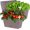 Khaki, variant on 6PCS Black 12.1" Self Watering Window Box Planters, Rectangular Flower Vegetable Pots with Drainage Holes & Breathable Trays for Balcony Windowsill Yard