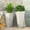 White, variant on GDF Studio Fardeen Outdoor Modern Large and Medium Cast Stone Planter Set, White