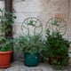 thumbnail image 4 of Enrejado para plantas trepadoras, enrejado para jardín de pájaros, soporte para plantas trepadoras, rendimiento finamente ajustado, 4 of 8