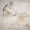 thumbnail image 4 of Lily K 20x20 Black Modern Wood Framed Wall Art Titled - Horse II, 4 of 6