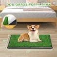 thumbnail image 5 of PRZL Grass Pad for Dogs with Tray, 30”×20” Large Dog Grass Pad with Tray, Artificial Grass Pads for Indoor Dog Potty, Washable Pet Loo Dog Toilet for Balcony Apartment, 5 of 7