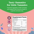 thumbnail image 6 of Natures Craft Kids Prebiotic Chicory Root Fiber Gummies, Digestive Health & Immune Support, Mixed Berry, 120 Count, 6 of 10