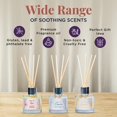 thumbnail image 2 of Folkulture Reed Diffuser or Aroma Diffusers | Set of 3 (50ml) Oil Diffuser for Home or Bathroom Accessories | Aromatherapy Diffuser with Sticks | Oil Diffusers with Reed Sticks (One in a Million), 2 of 8