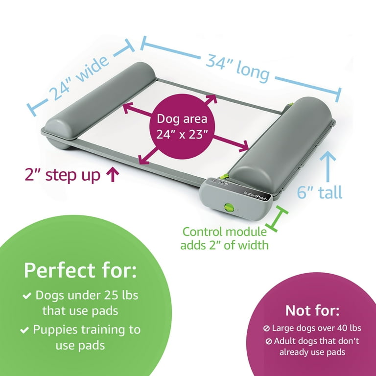 Automatic pee pad 2025