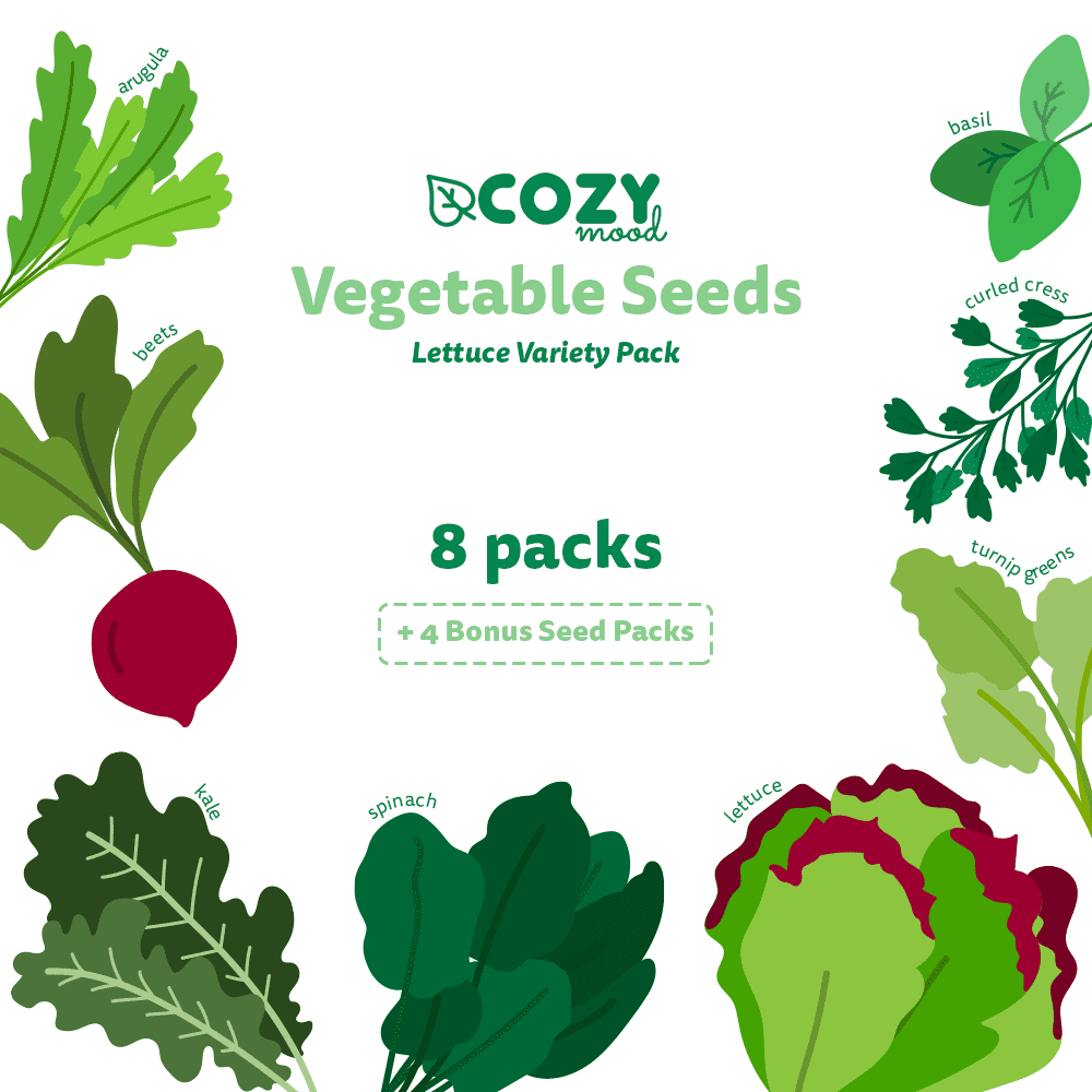 Lettuce Seeds for Planting Home Gardens 6 Grams Approx. 2,000 Seeds Black Seeded Lettuce Seeds Heirloom /& Non-GMO Planting Instructions Included