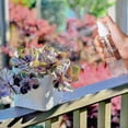 thumbnail image 4 of 10 botellas de spray transparentes vacías, 4 of 5