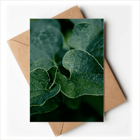 Dark Picture Nature Greeting Cards You are Invited Invitations