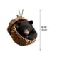 thumbnail image 3 of Adornos acrílicos para el árbol de Navidad | Colgantes festivos en 2D para la repisa de la chimenea y la decoración de ventanas, 3 of 7