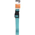 Pet Champion Classic Dog Collar