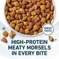 thumbnail image 4 of Purina ONE Plus Real Chicken High-Protein Large Breed Dog Food, 16.5 lb, 4 of 13