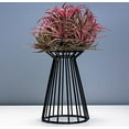 thumbnail image 1 of Plant Pot Holder, Decorative Iron Relaxing Plant Stand  For Garden, 1 of 4
