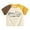 1 Yellow, variant on Gyujnb Dinosaur Cartoon Print Crew Neck Raglan Short Sleeve Tees Casual Summer Tops (Baby, Big Boys),6-7 Years