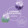 thumbnail image 2 of Laundry Detergent Lavender Eucalyptus, 2 of 6