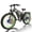 green, variant on Dual Motor Electric Bike for Adultse,60V/25Ah, 8000W Motor Full Suspension 50MPH High-Speed,26'' Fat Tire Electric Bike,Hydraulic Brakes,for Adults off-Road Commuting