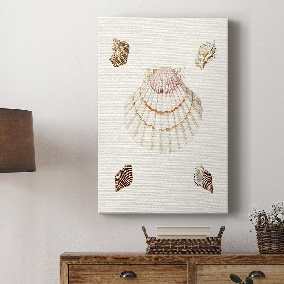 Pastel Knorr Shells IV Premium Gallery Wrapped Canvas - Ready to Hang