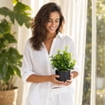 thumbnail image 6 of Linnome Artificial Green Plants Potted Fake Foliage Shrubs with Dark Pots Mini Faux Greenery for Desk Shelf Indoor Home Tabletop Decor, 6 of 7