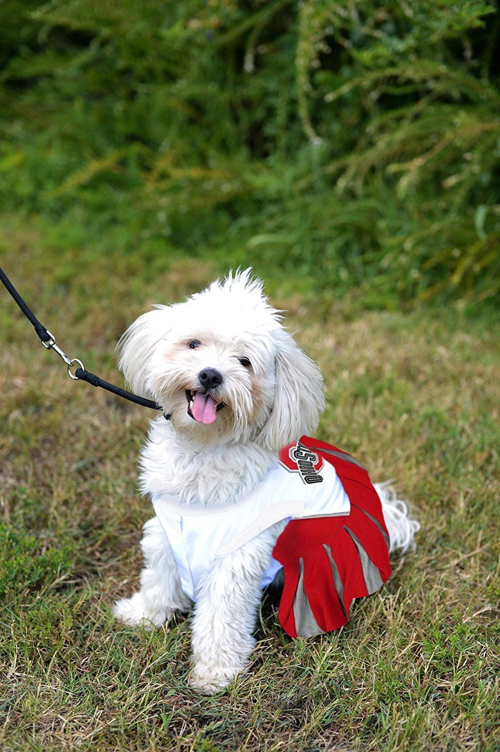 Pets First College Ohio State Buckeyes Cheerleader, 3 Sizes Pet Dress  Available. Licensed Dog Outfit 