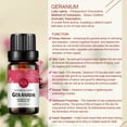 thumbnail image 6 of Geranium Essential Oil 10ml (0.33oz) - 100% Pure Premium Grade for Aroma Diffuser, Massage, Skin Care, 6 of 6