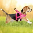 thumbnail image 5 of Didog No Pull Dog Harness Safety Reflective Large Breeds Training Front Leading Chest Strap Pet Vest Boxer Pitbull Rottweiler, 5 of 8